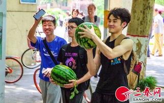 吃瓜学校全集免费看,揭秘校园风云，免费畅享青春喜剧盛宴  第1张